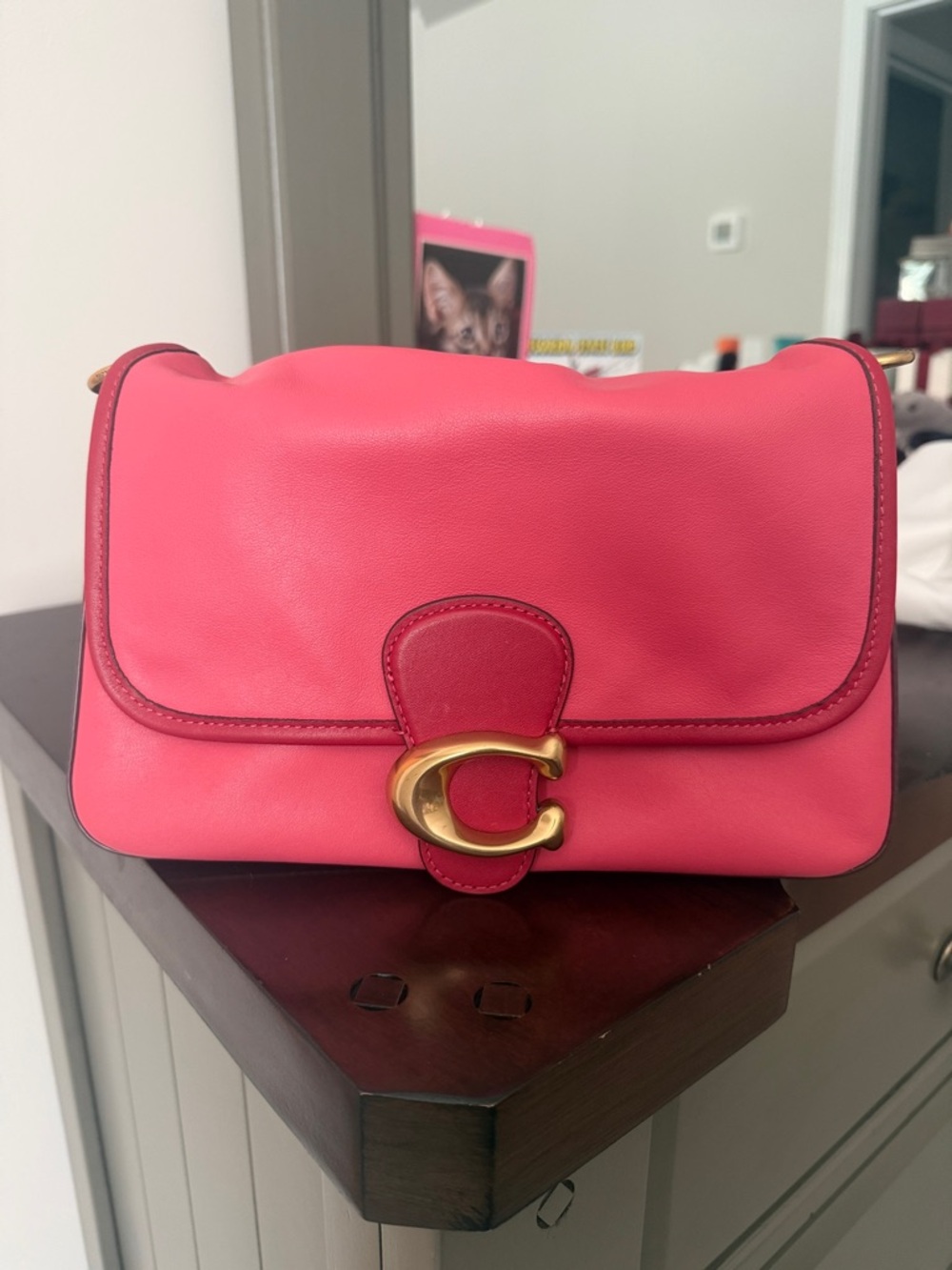 Coach Soft Tabby in Watermelon - 2022